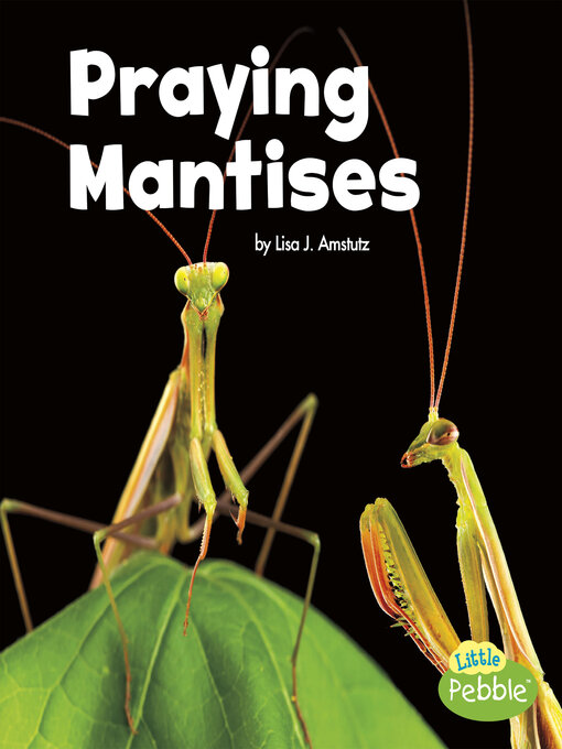 Title details for Praying Mantises by Lisa J. Amstutz - Wait list